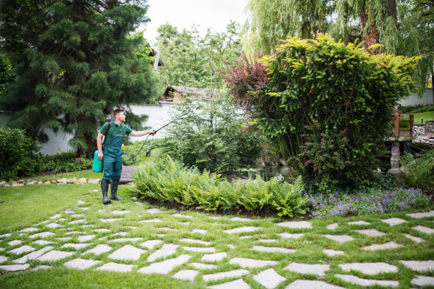 Best Pest Inspection Near Me  in Mitchell, SD