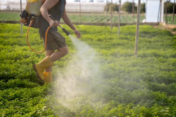 Best Insect Control  in Mitchell, SD