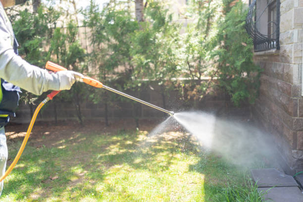 Best Flea Control Services  in Mitchell, SD