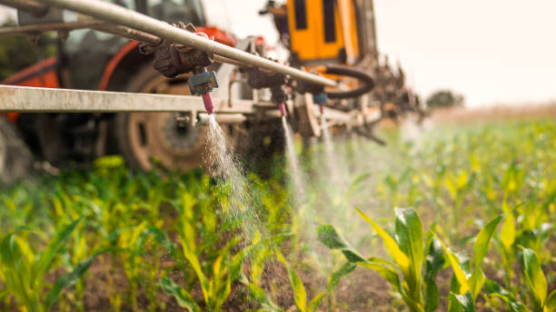 Best Insect Control  in Mitchell, SD