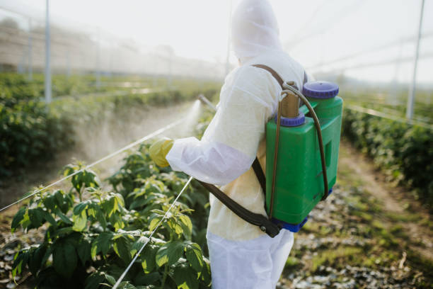 Wasp Removal Services in Mitchell, SD